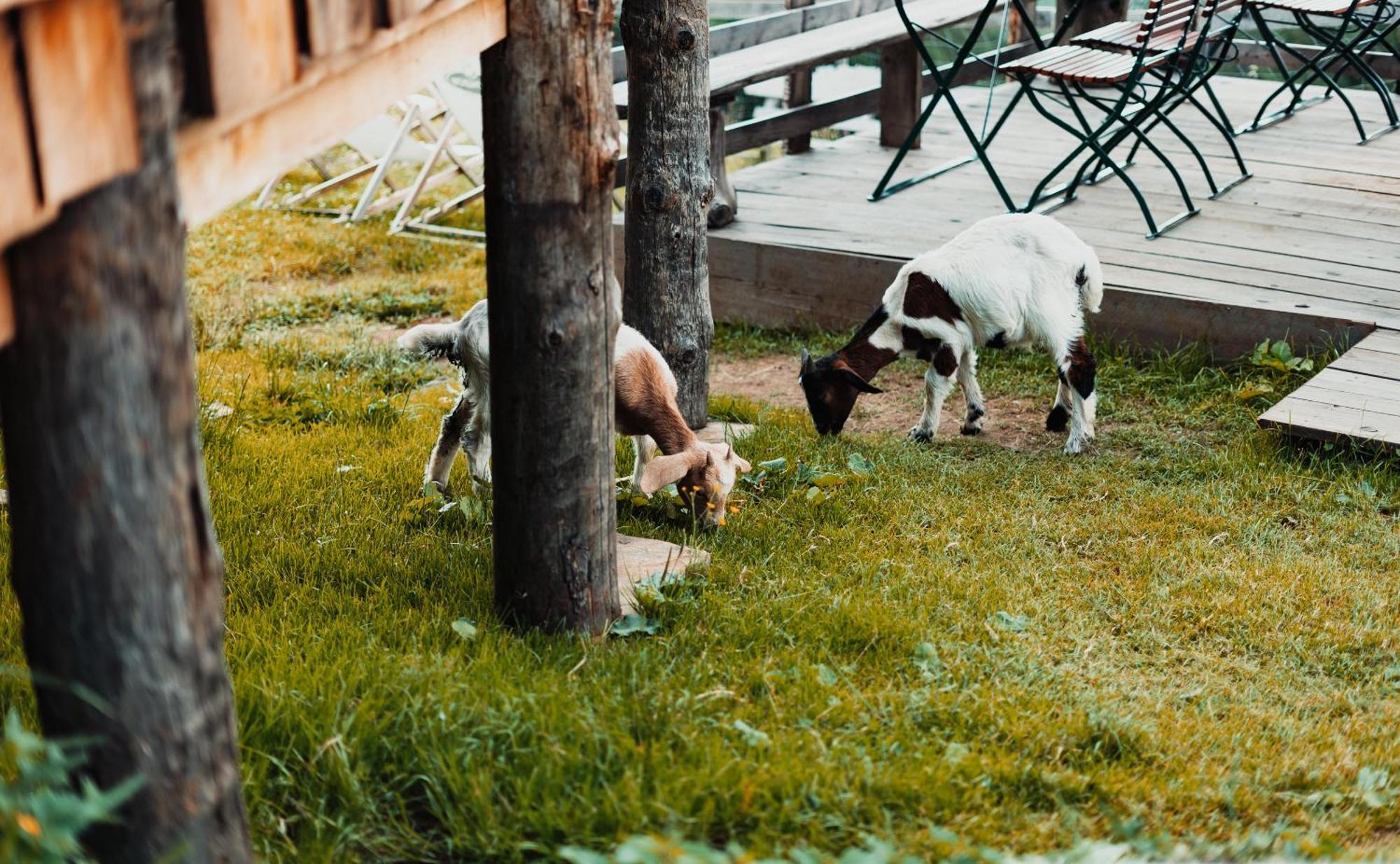 Mei Zeit Huettendorf Turracher Hohe エクステリア 写真