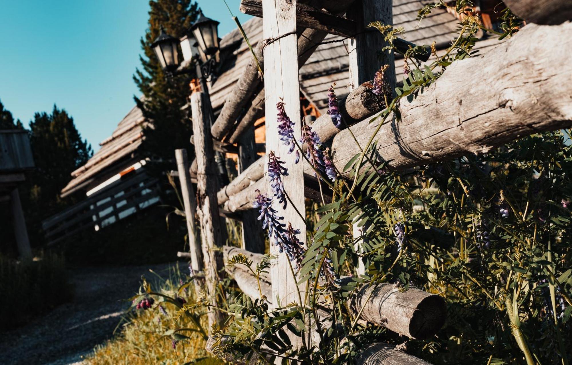 Mei Zeit Huettendorf Turracher Hohe エクステリア 写真